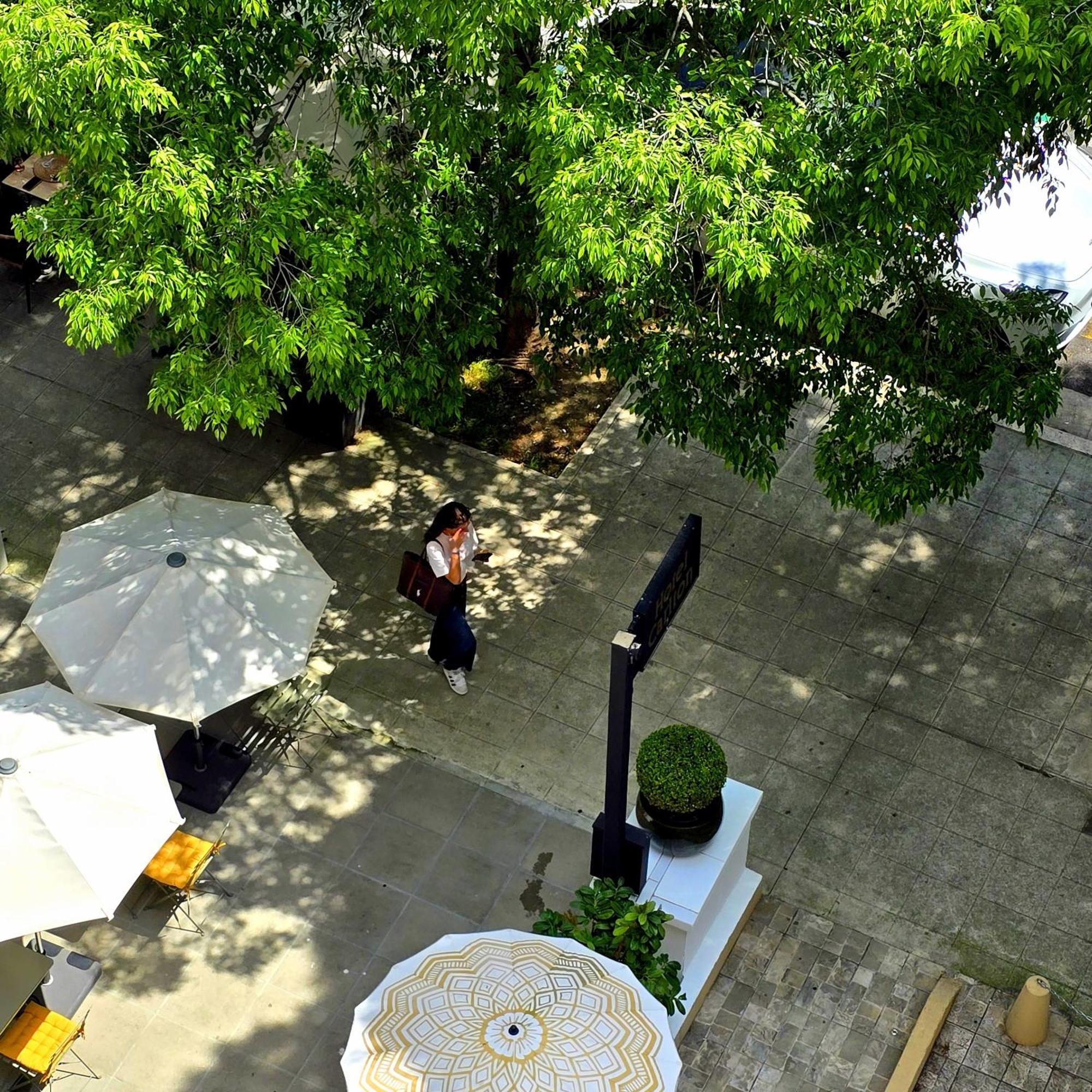Hotel Carlton Nice, Fully Renovated Dış mekan fotoğraf